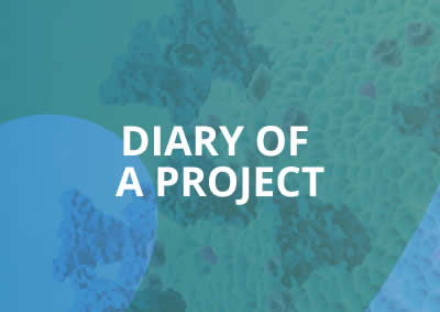 Diary of a Project 