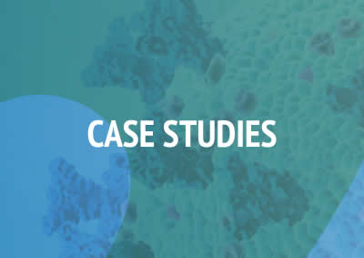 Case Studies