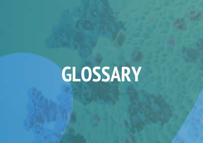 Glossary